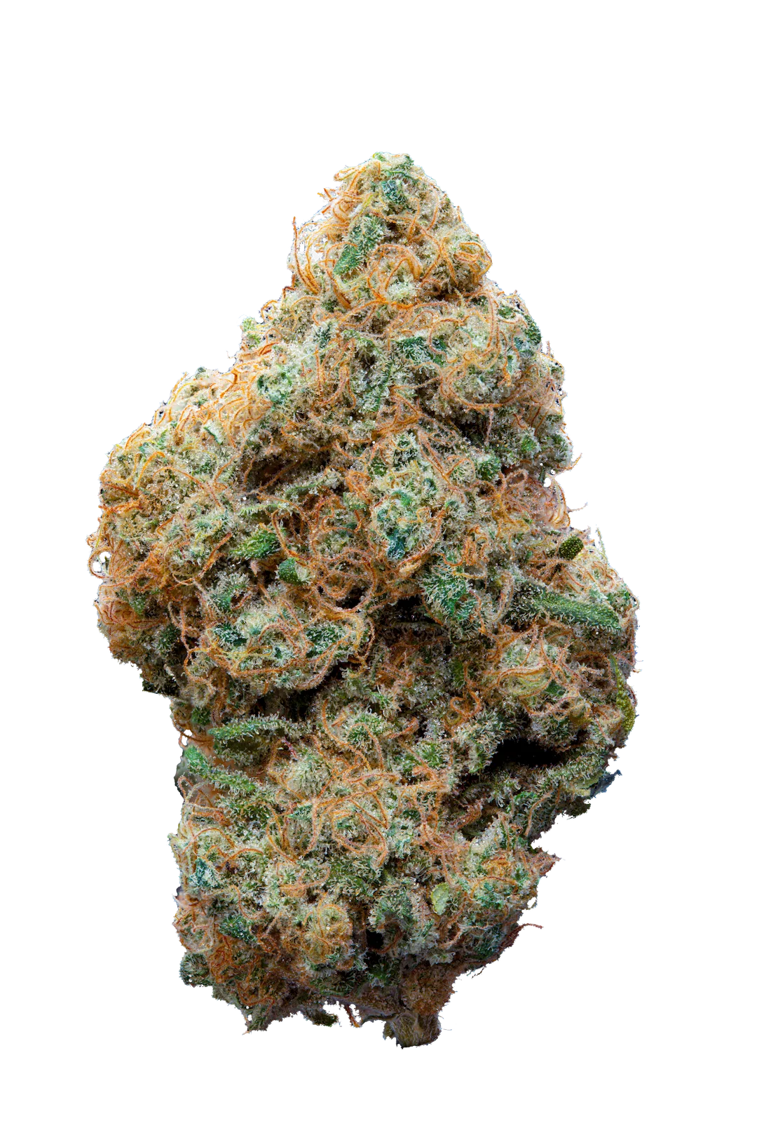 F.O.G. Indoor