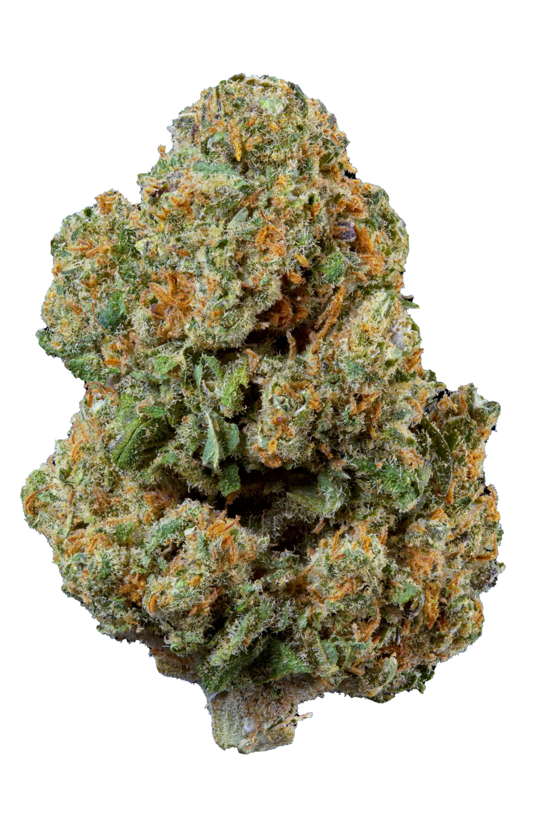 Plusberry indoor